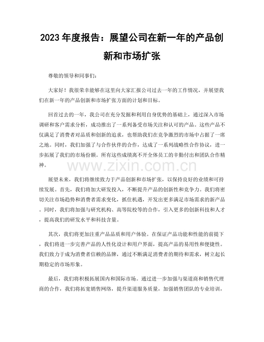 2023年度报告：展望公司在新一年的产品创新和市场扩张.docx_第1页