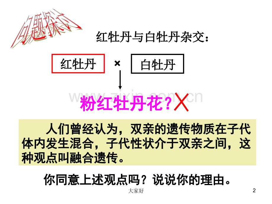 人教版高二生物必修二第一章《基因分离定律》.ppt_第2页
