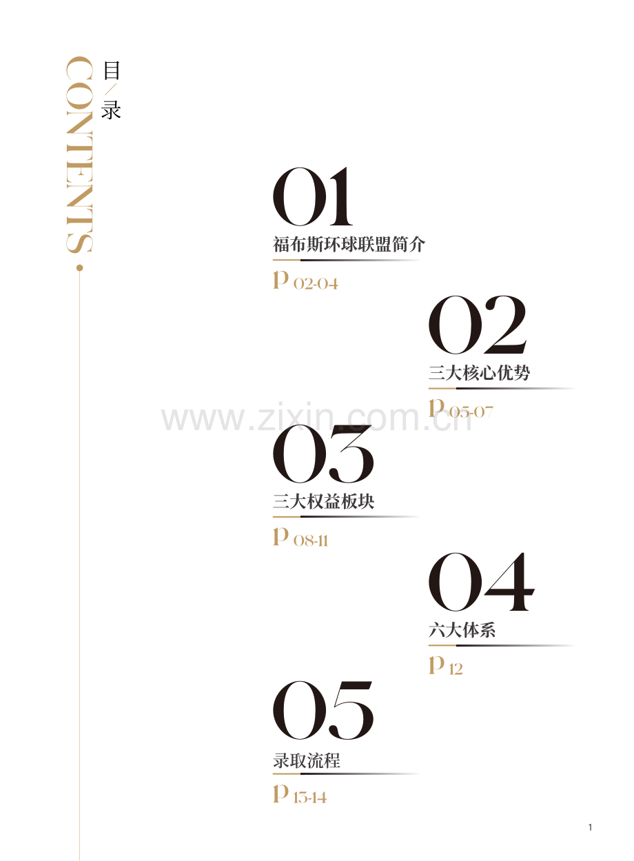 福布斯国际化青年领袖.pdf_第2页
