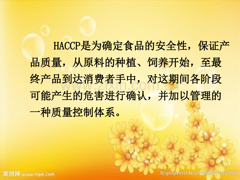 食品生产危害分析与关键控制点-PPT.ppt_第2页