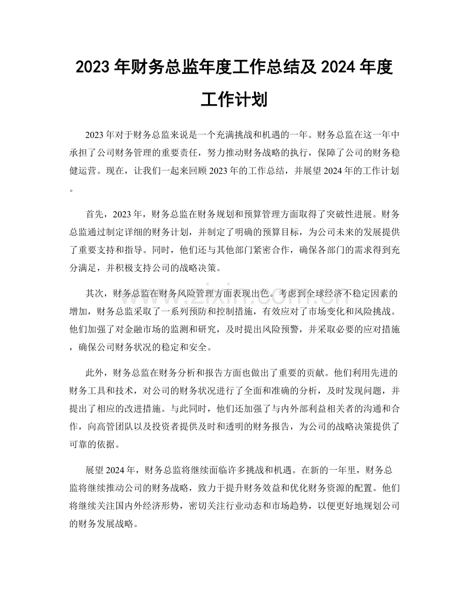 2023年财务总监年度工作总结及2024年度工作计划.docx_第1页