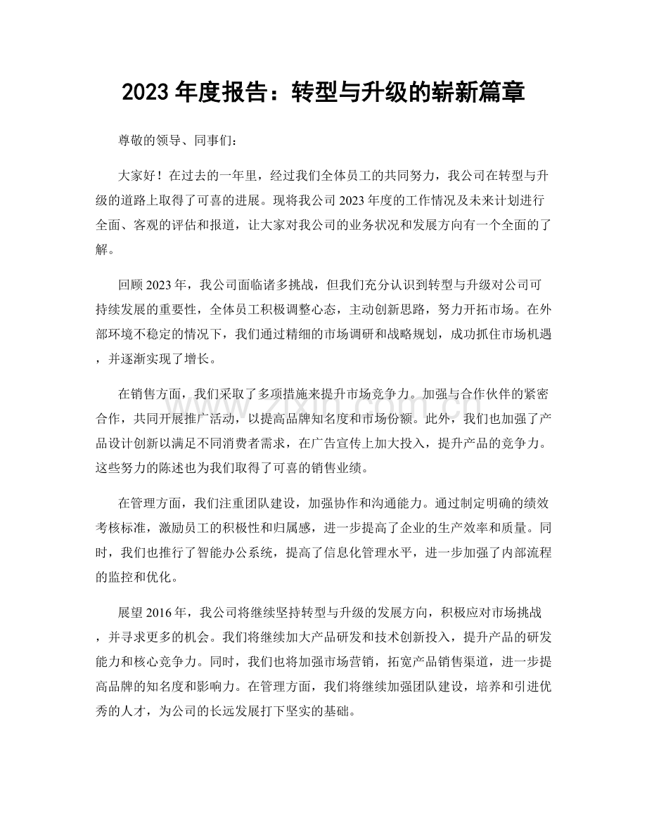 2023年度报告：转型与升级的崭新篇章.docx_第1页