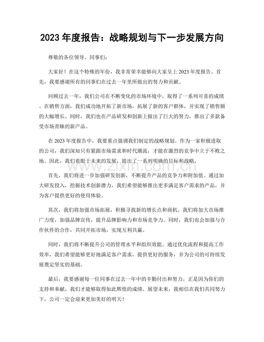 2023年度报告：战略规划与下一步发展方向.docx_第1页