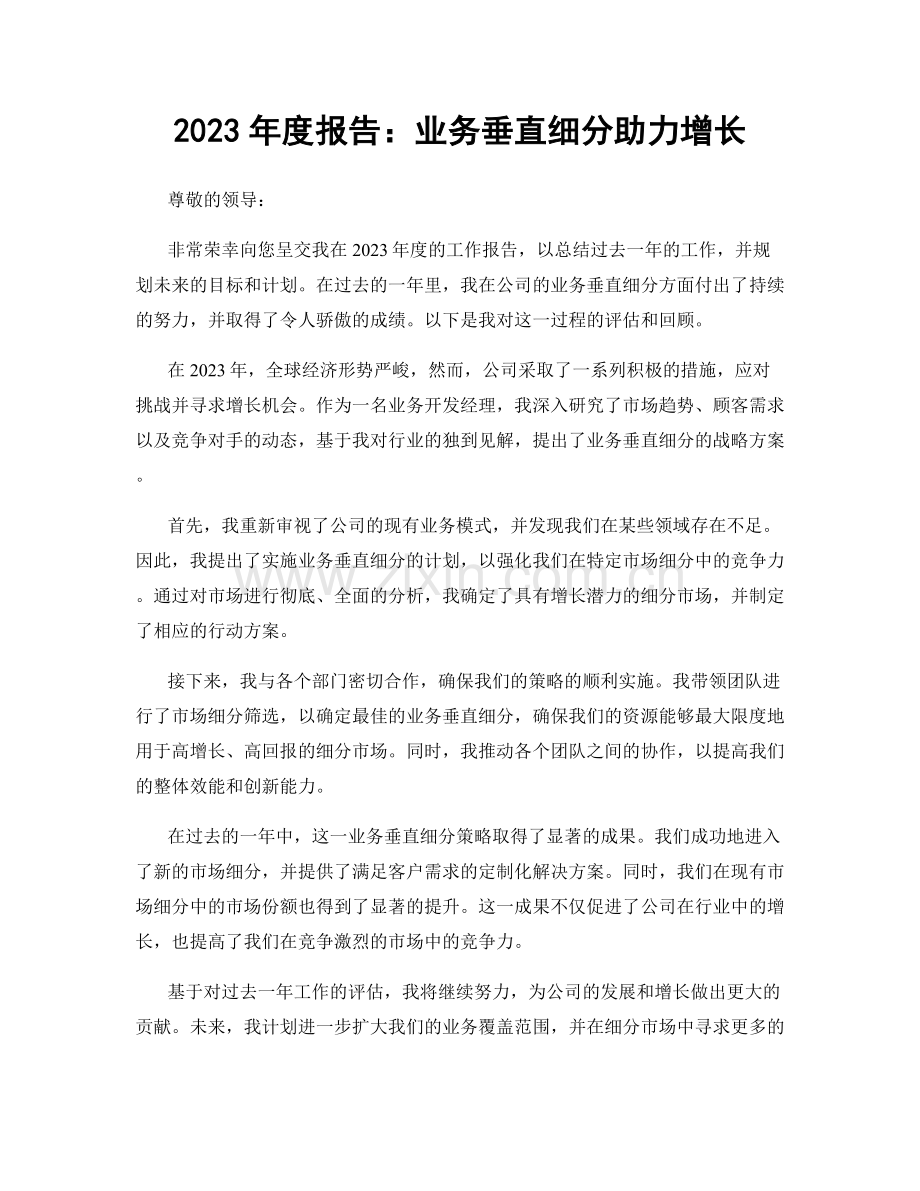 2023年度报告：业务垂直细分助力增长.docx_第1页