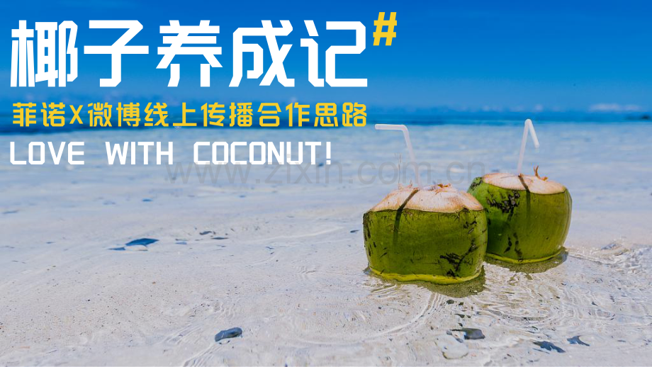 菲诺椰子饮料微博传播方案.pdf_第1页