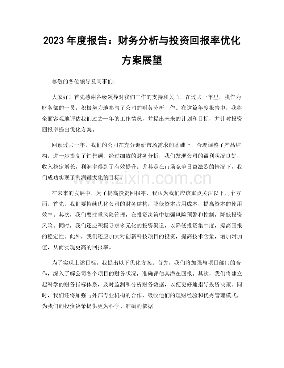 2023年度报告：财务分析与投资回报率优化方案展望.docx_第1页