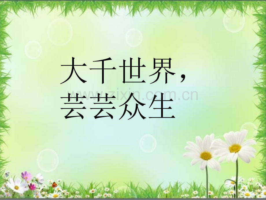 地球上有多少种生物报告.ppt_第2页