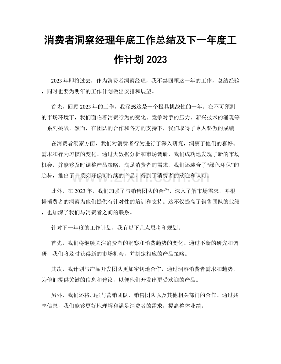 消费者洞察经理年底工作总结及下一年度工作计划2023.docx_第1页