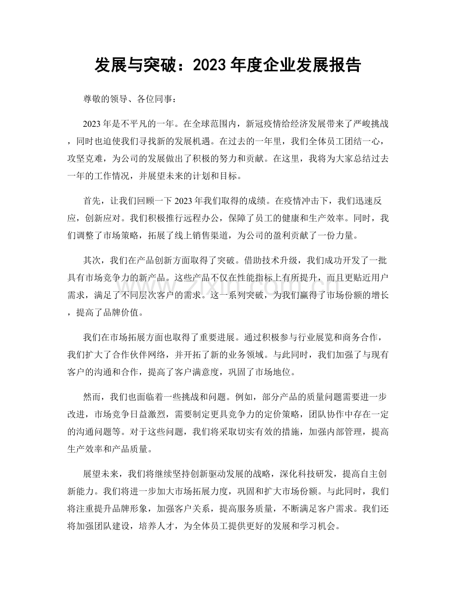 发展与突破：2023年度企业发展报告.docx_第1页