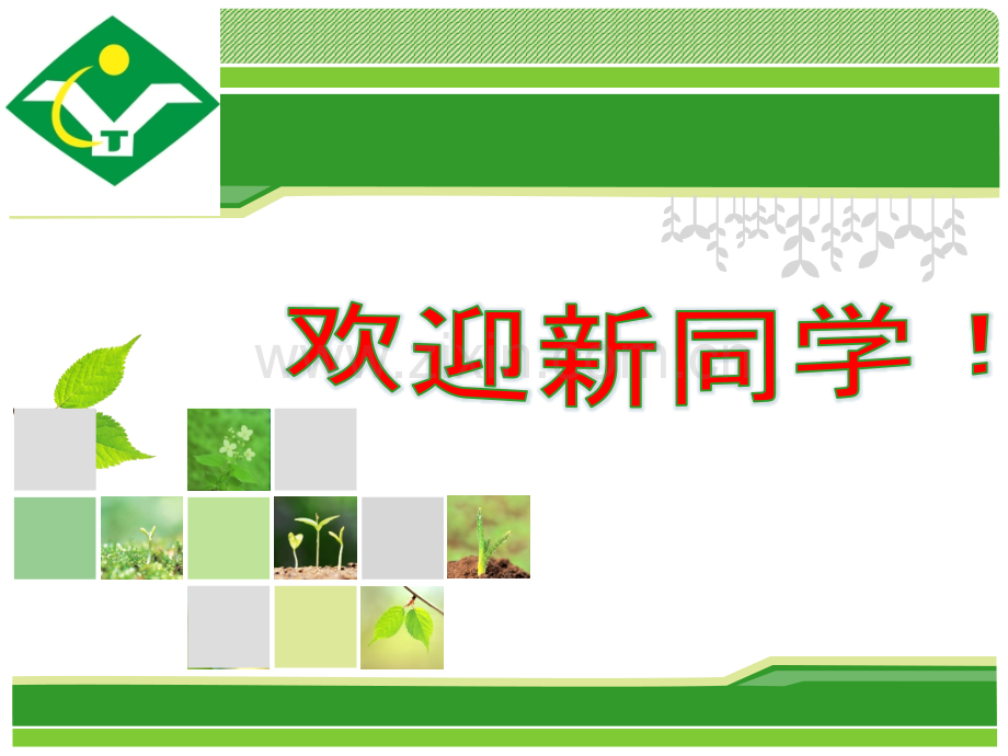 高一地理开学-定稿.pptx_第1页