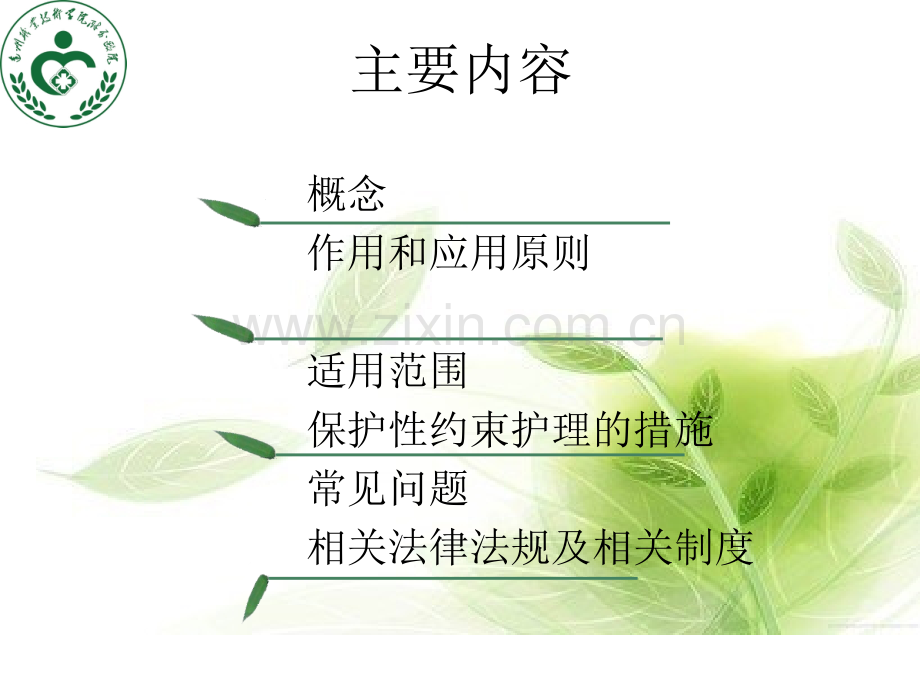 保护性约束模板.pptx_第2页