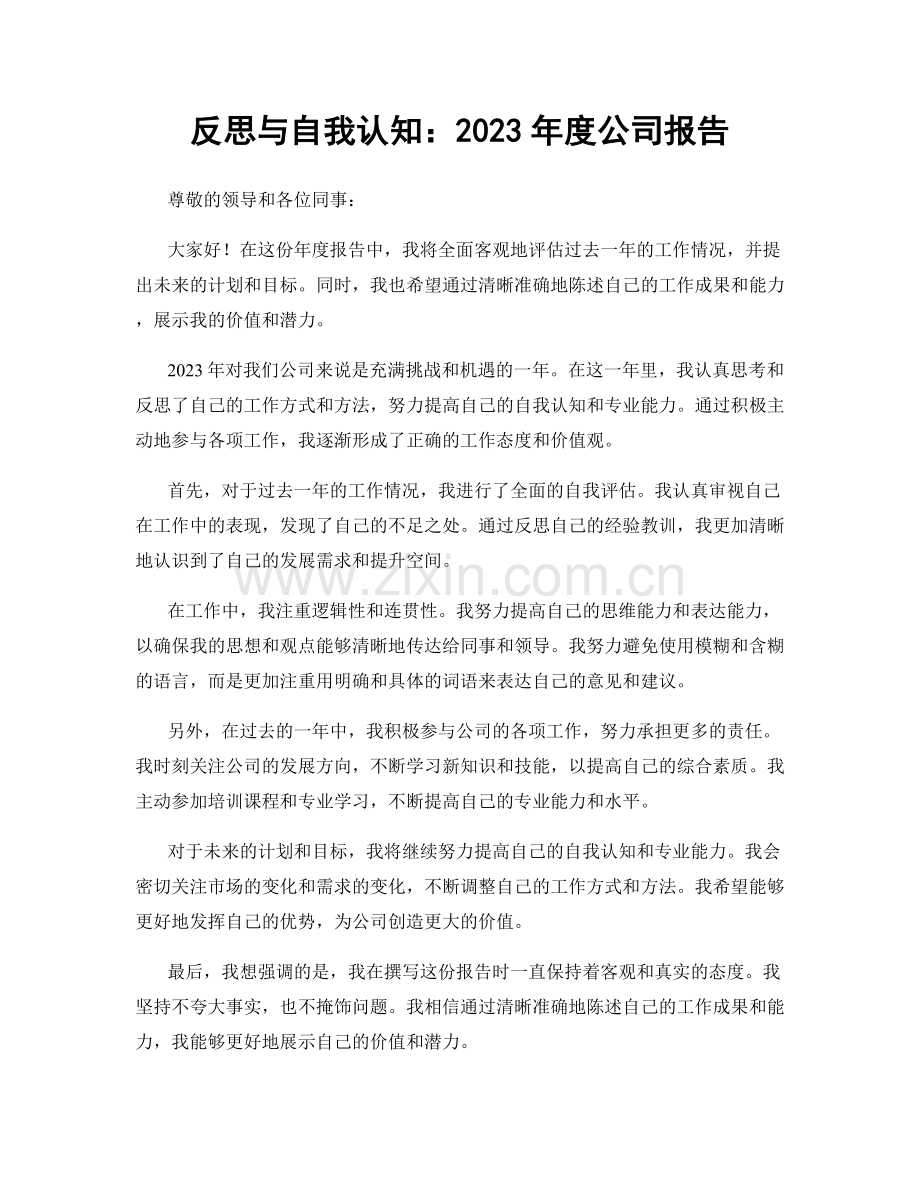反思与自我认知：2023年度公司报告.docx_第1页