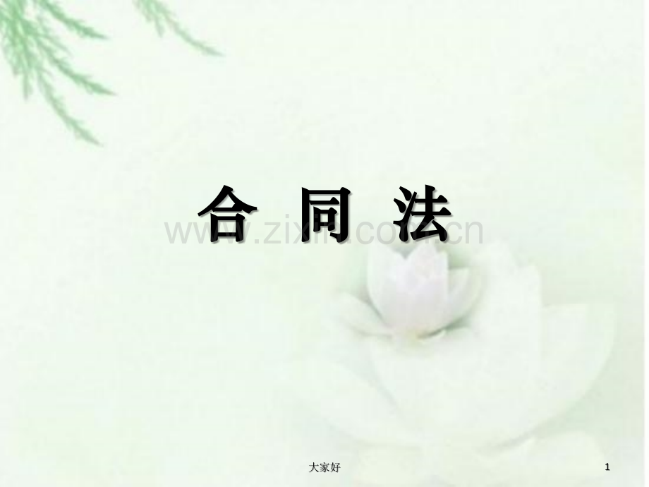 《合同法》解析.ppt_第1页