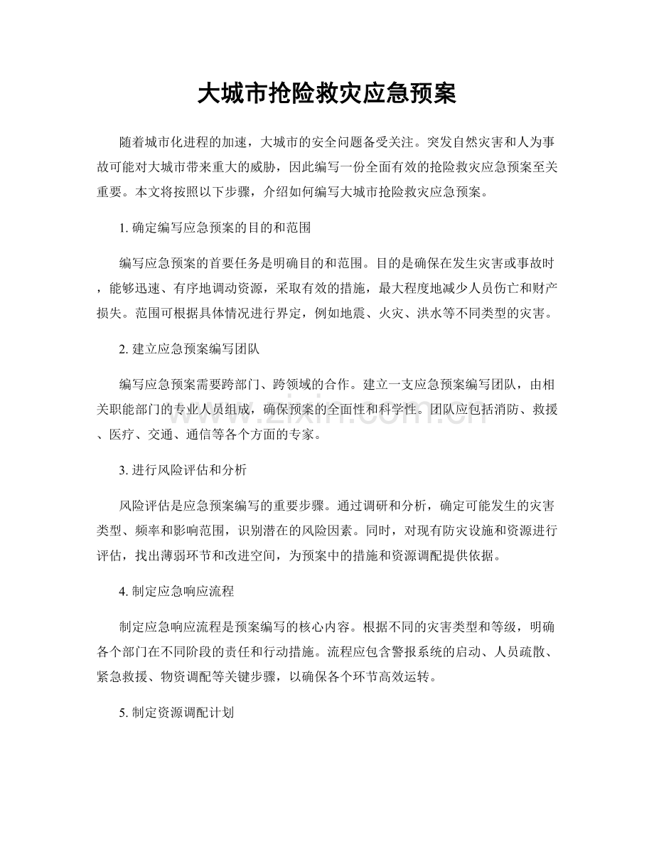 大城市抢险救灾应急预案.docx_第1页