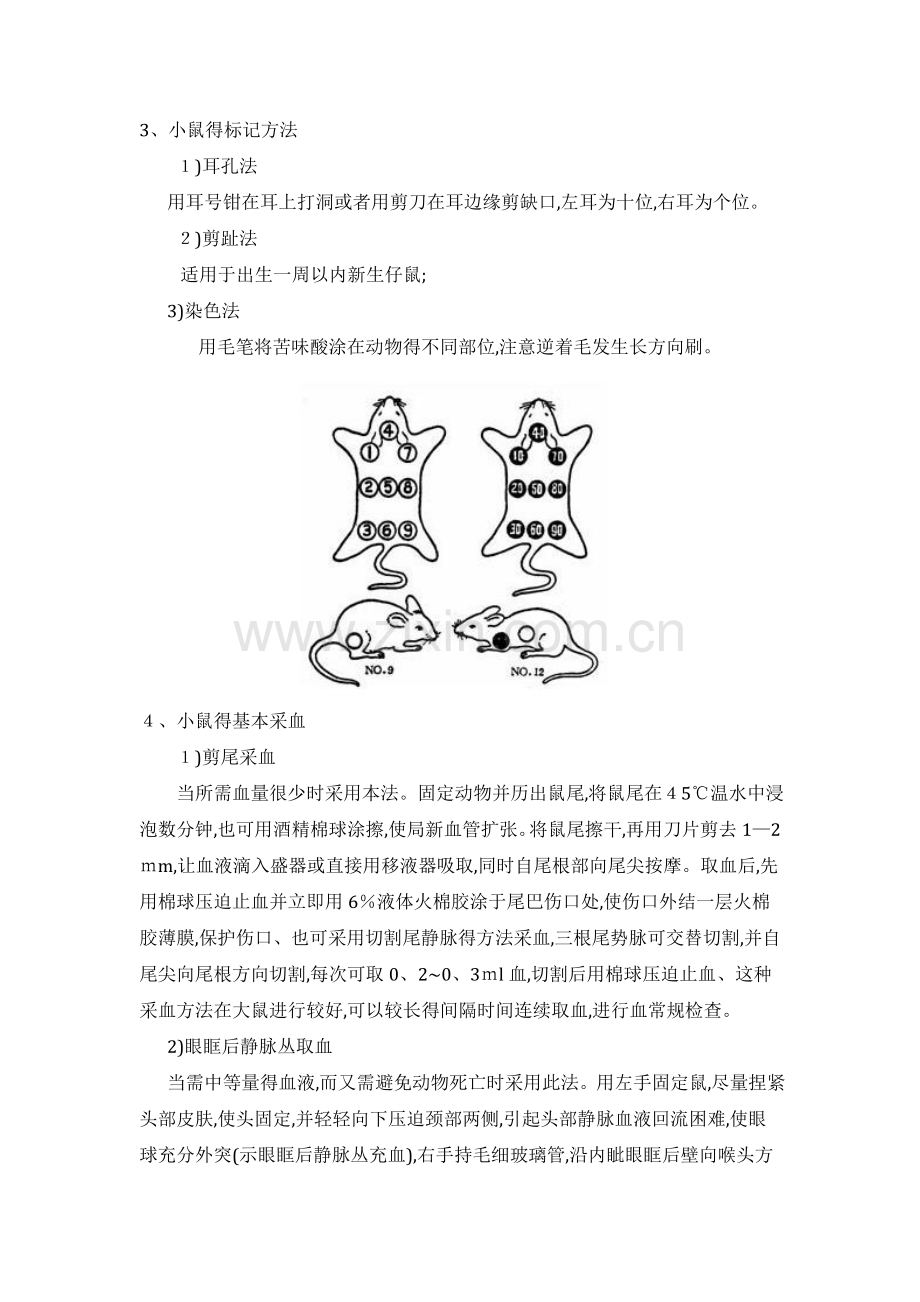 动物实验报告.doc_第2页