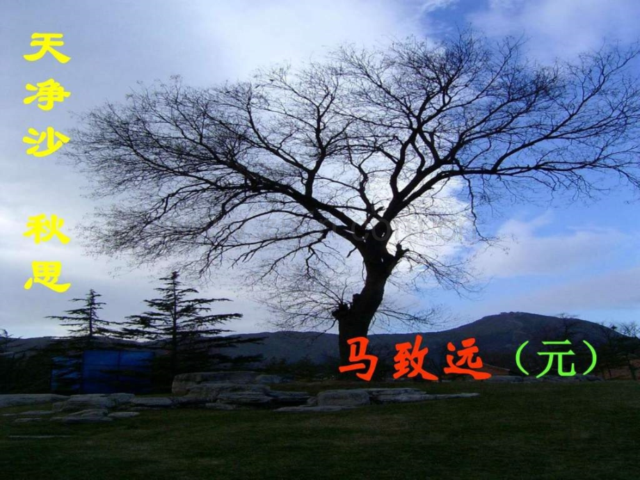 新北师大版七年级上册件天净.pptx_第1页