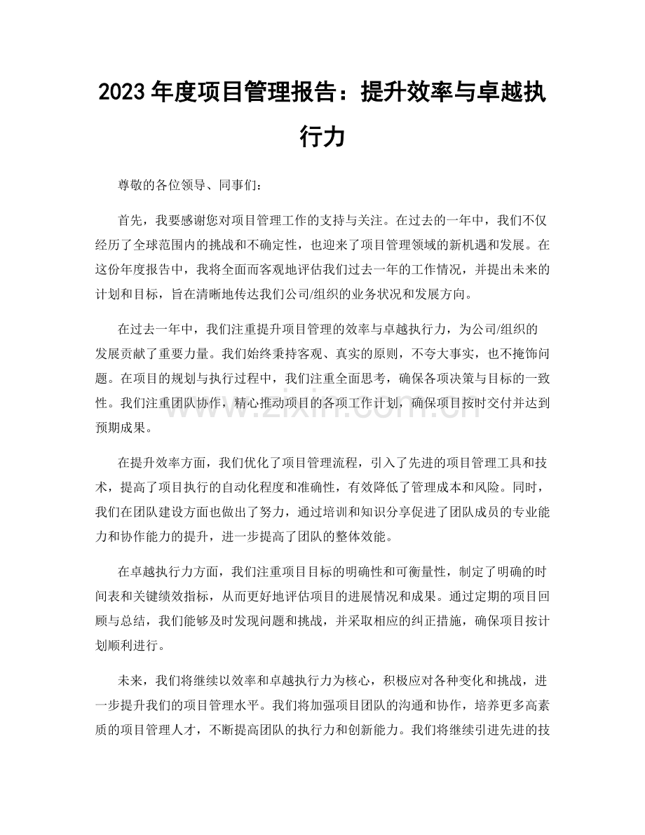 2023年度项目管理报告：提升效率与卓越执行力.docx_第1页