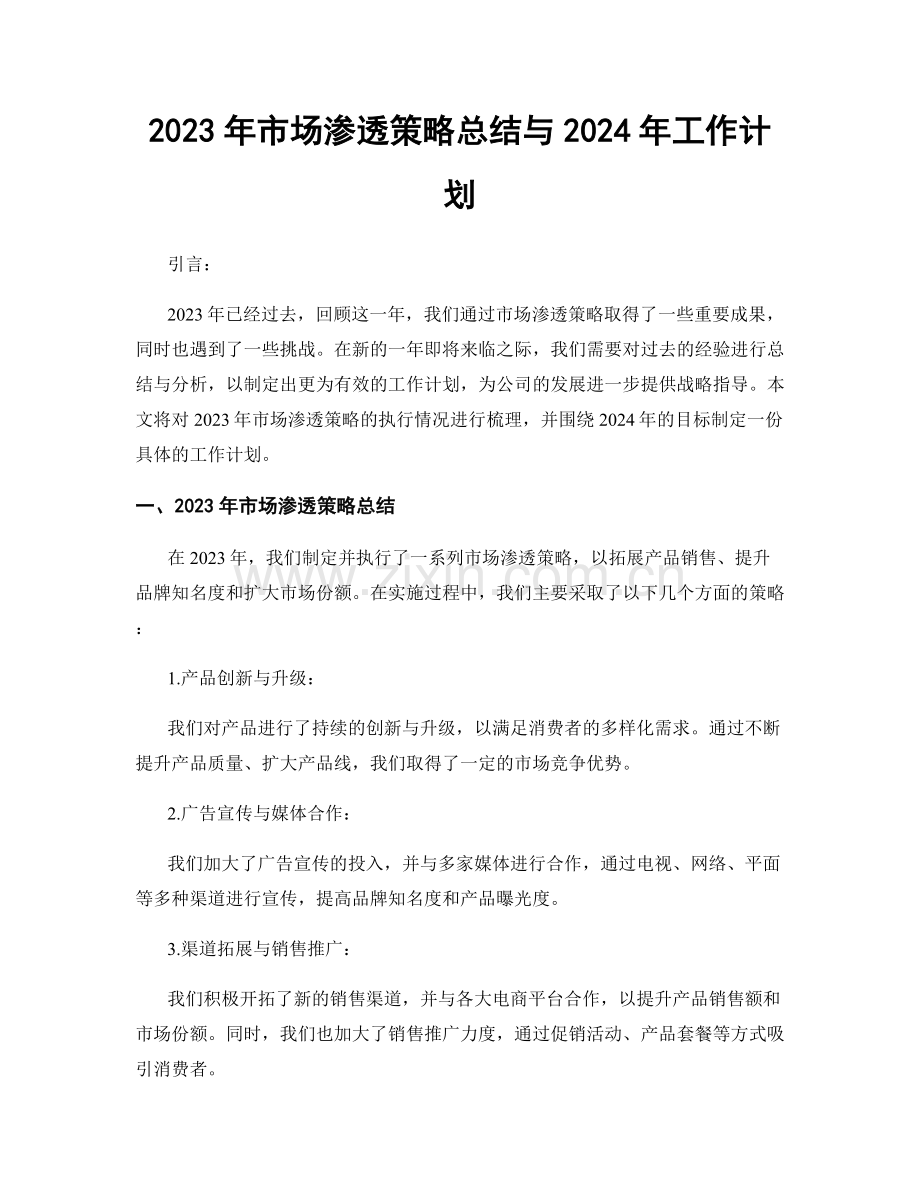 2023年市场渗透策略总结与2024年工作计划.docx_第1页