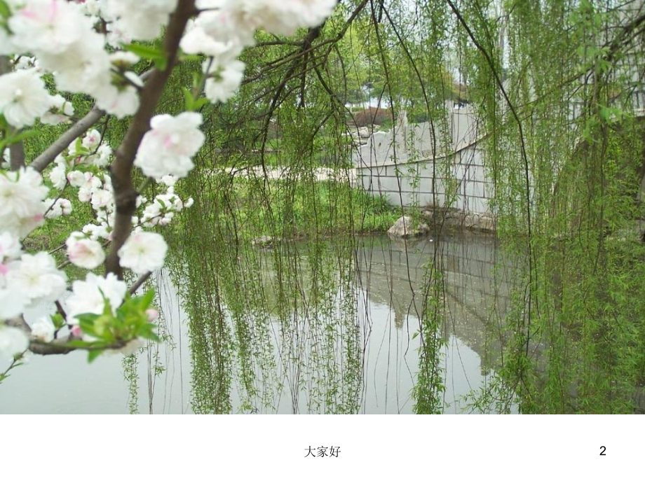 人教版小学语文三年级下册《燕子》课件.ppt_第2页