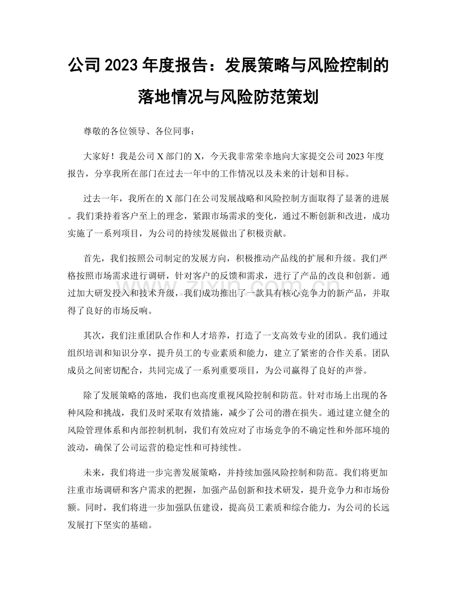 公司2023年度报告：发展策略与风险控制的落地情况与风险防范策划.docx_第1页