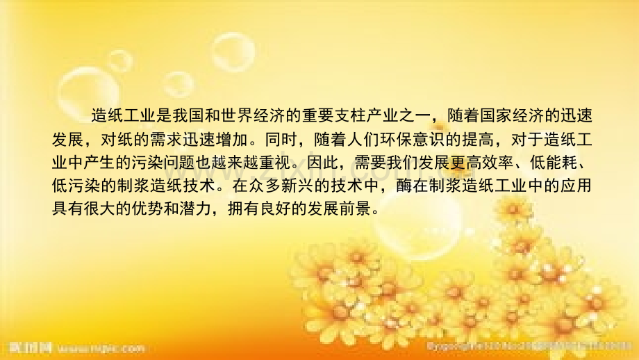 酶在造纸中的应用.ppt_第2页