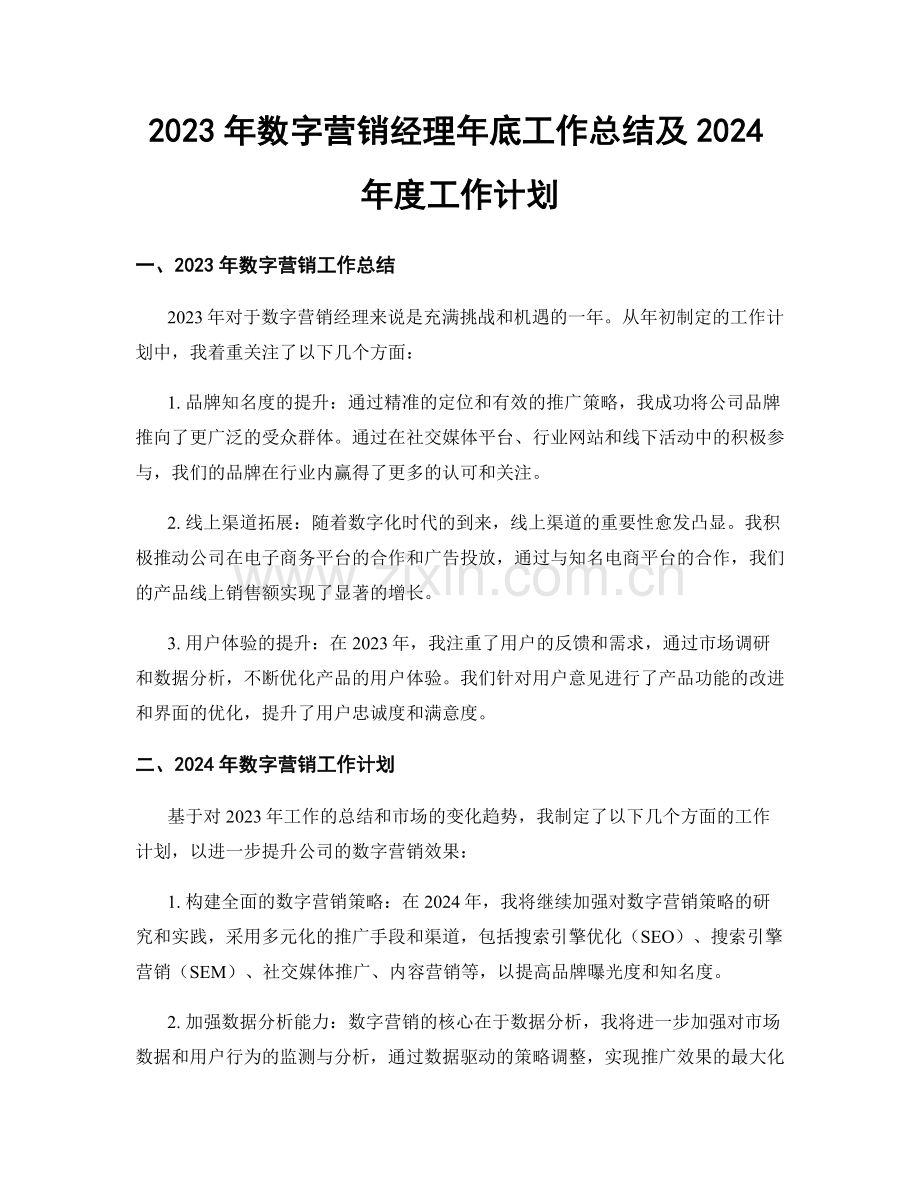 2023年数字营销经理年底工作总结及2024年度工作计划.docx_第1页