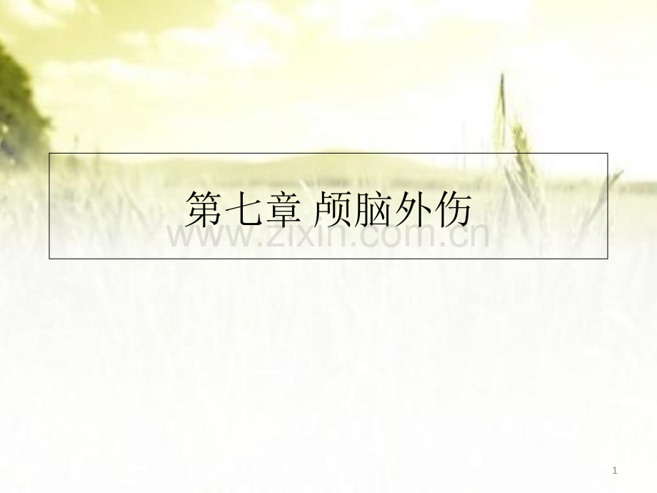 颅脑外伤课件-.ppt_第1页