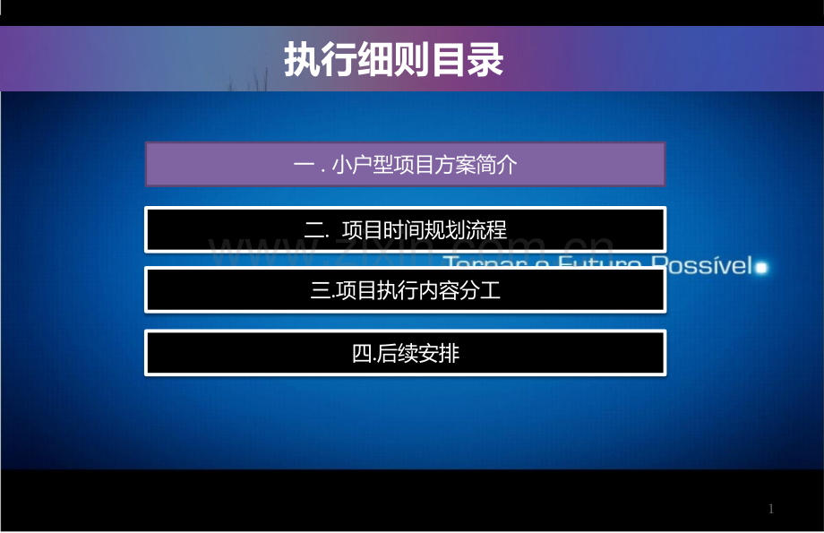 小户型执行纲要.pptx_第1页