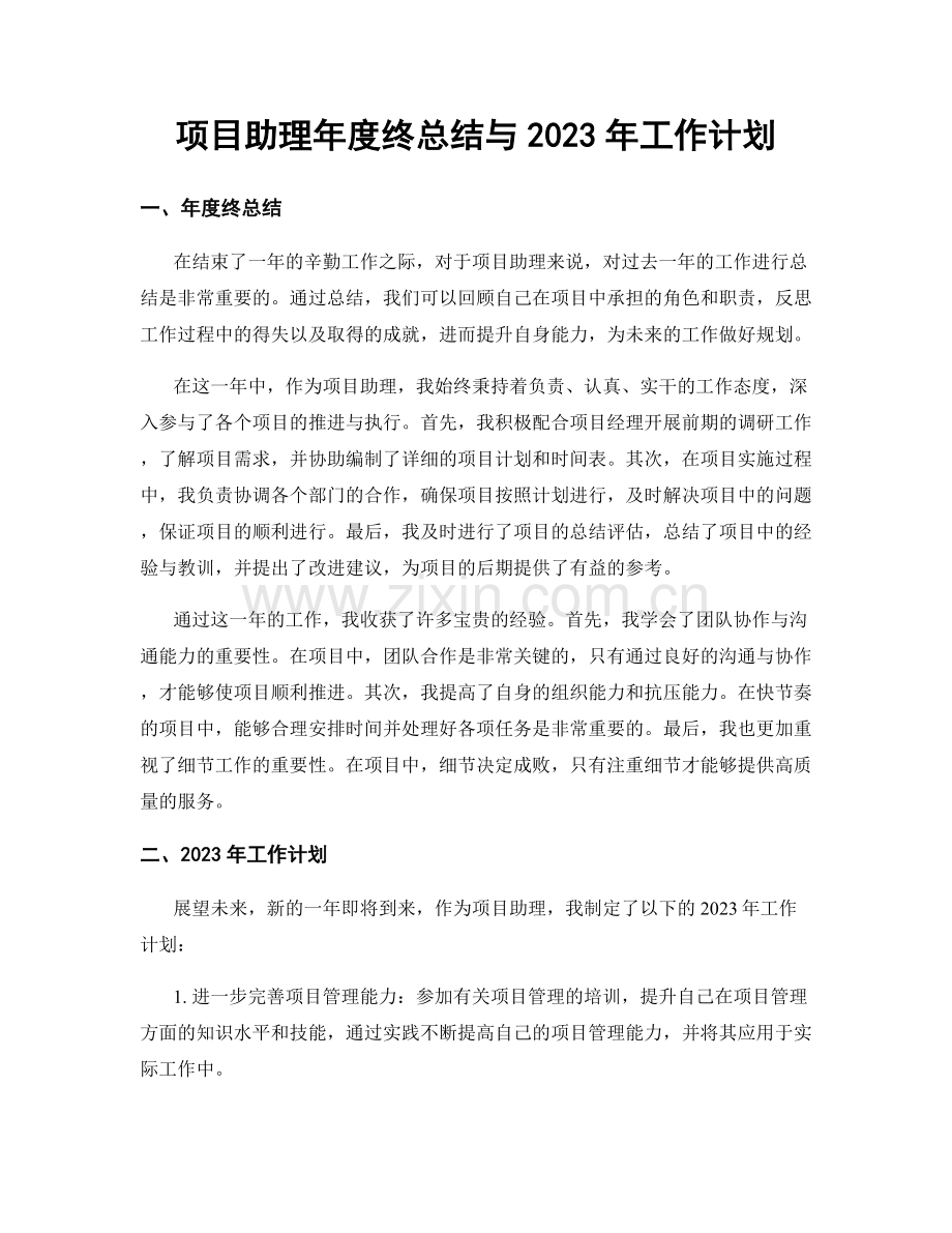 项目助理年度终总结与2023年工作计划.docx_第1页