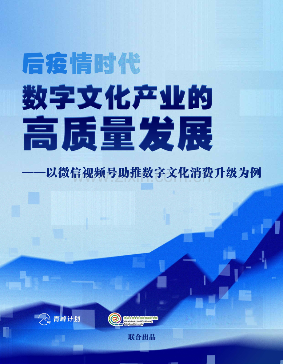 视频号助推数字文化消费升级.pdf_第1页