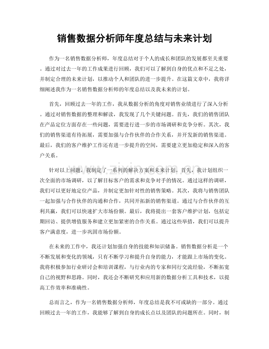 销售数据分析师年度总结与未来计划.docx_第1页
