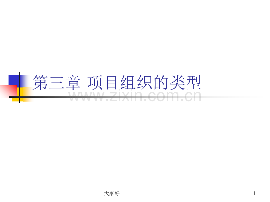 项目组织类型.ppt_第1页