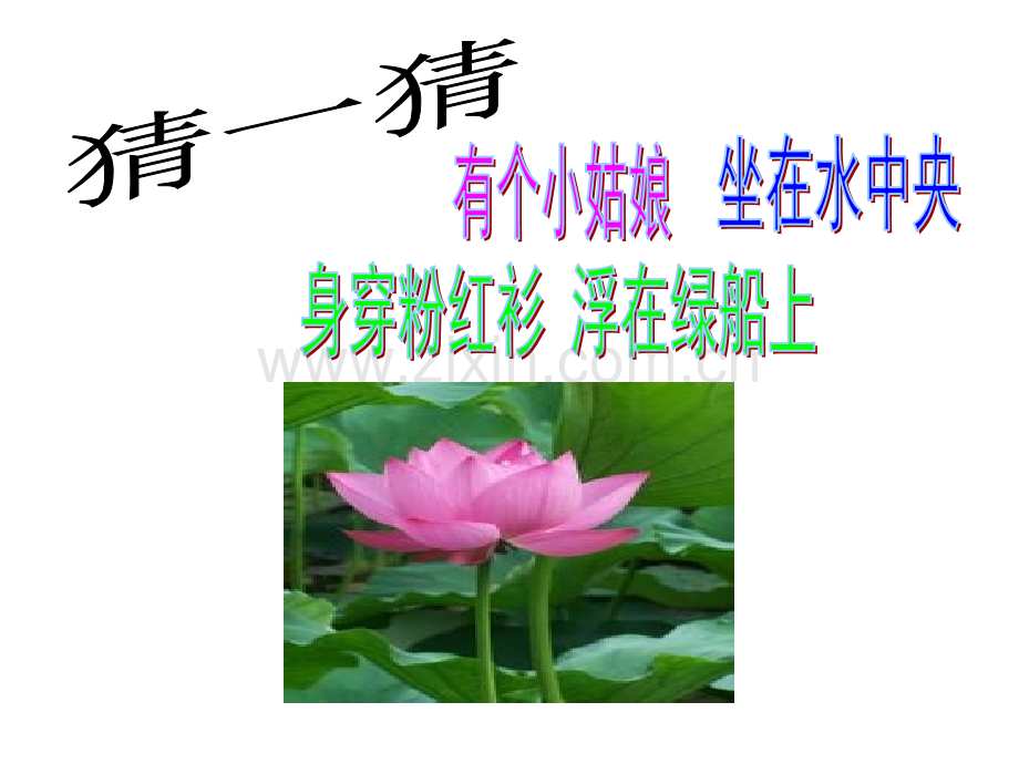 一年级上册美术花儿寄深情.pptx_第2页