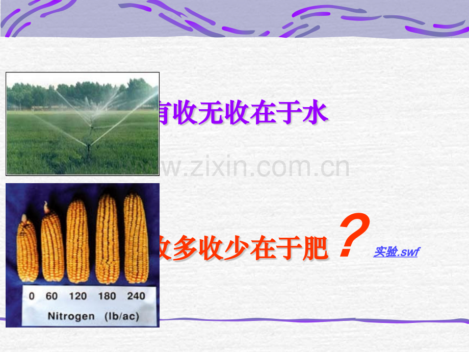 华中农业大学植物生理学矿质营养.pptx_第2页