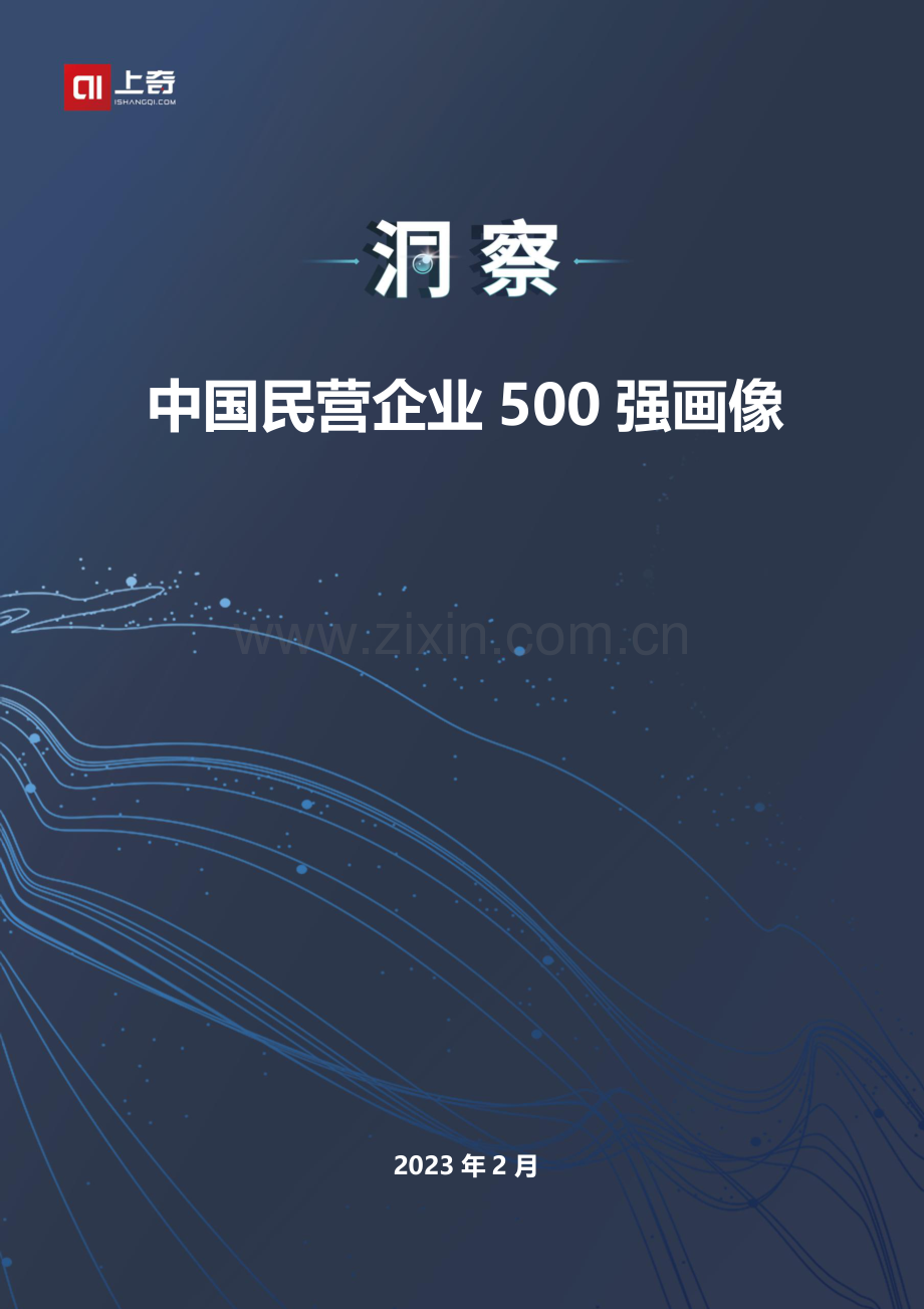 2023年中国民营企业500强画像.pdf_第1页