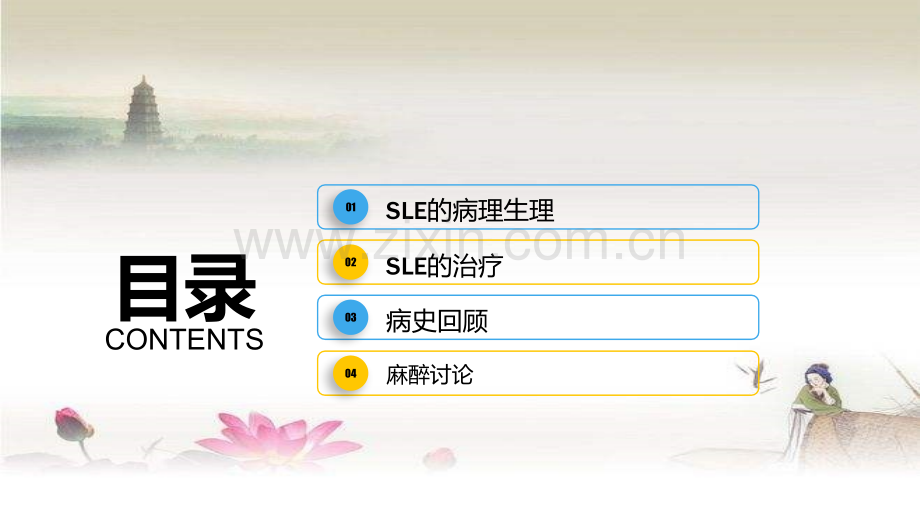 SLE与麻醉-PPT.ppt_第2页