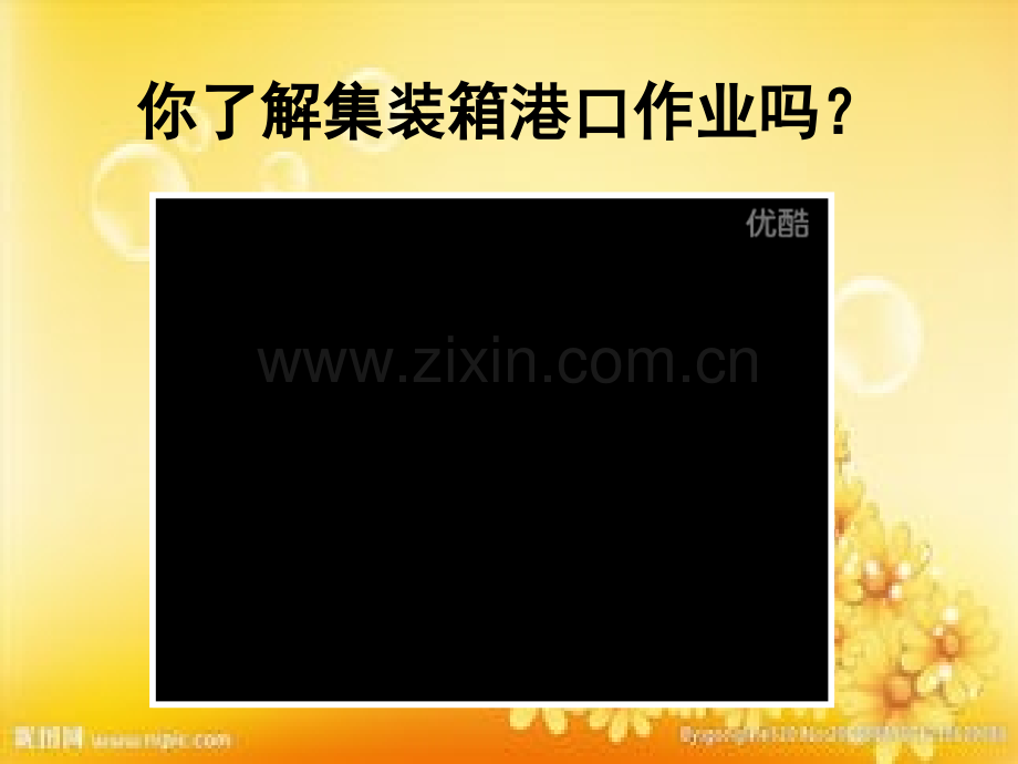 集装箱作业实务.ppt_第2页