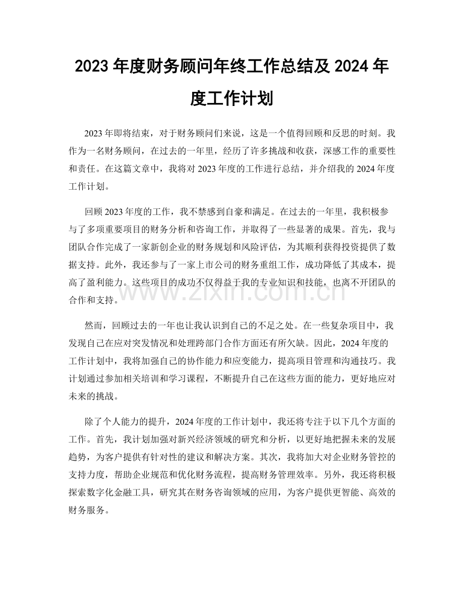 2023年度财务顾问年终工作总结及2024年度工作计划.docx_第1页