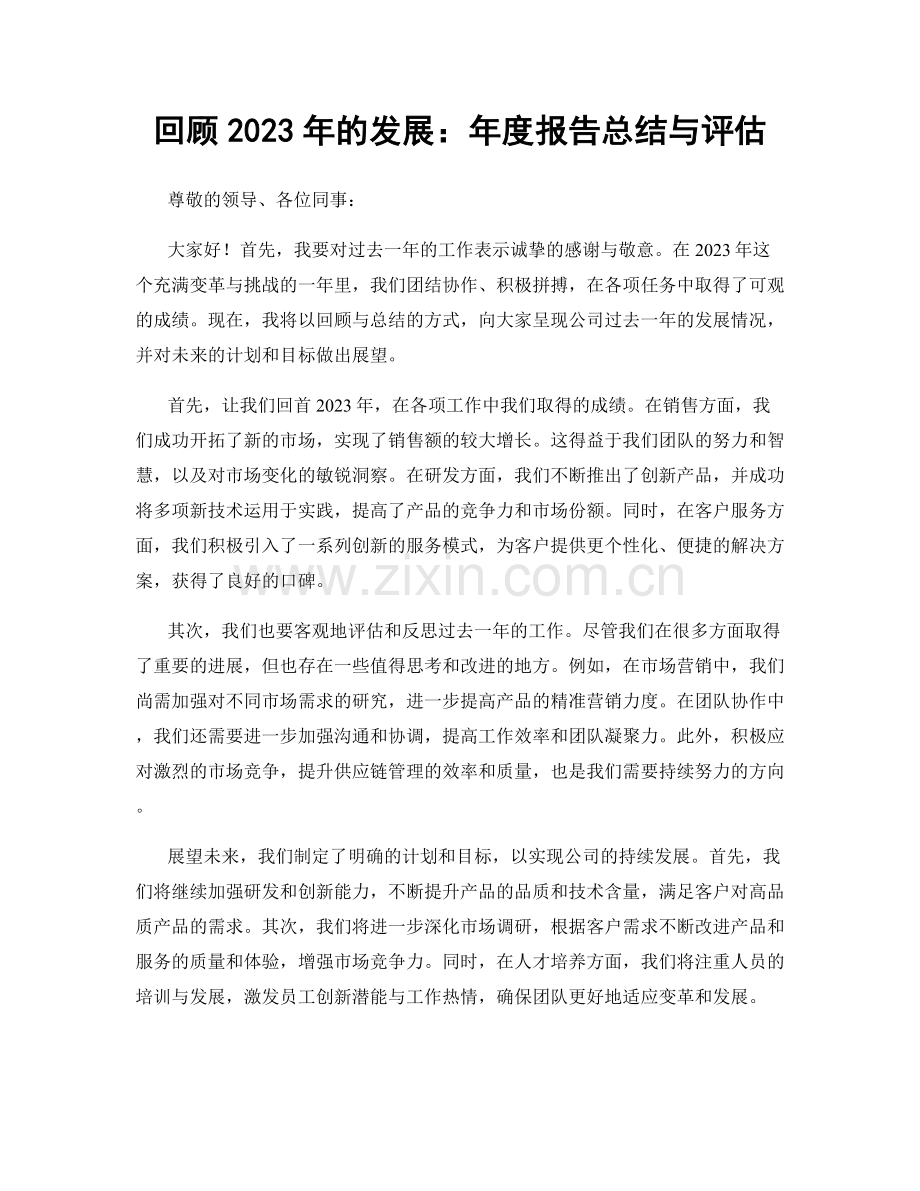 回顾2023年的发展：年度报告总结与评估.docx_第1页