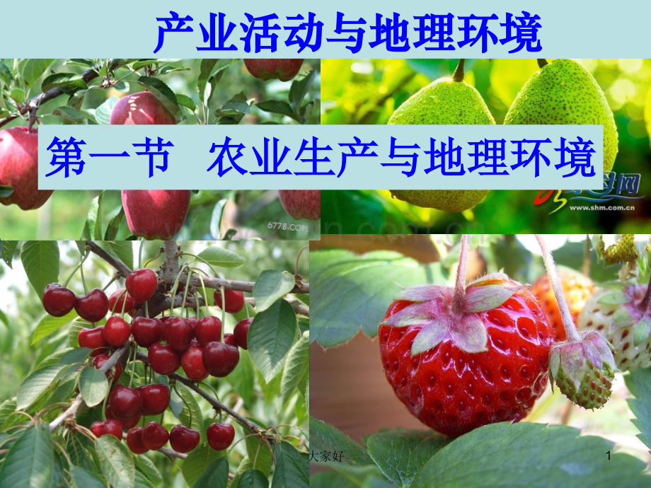 鲁教版高中地理必修二-第三单元-第一节-农业生产与地理环境.ppt_第1页