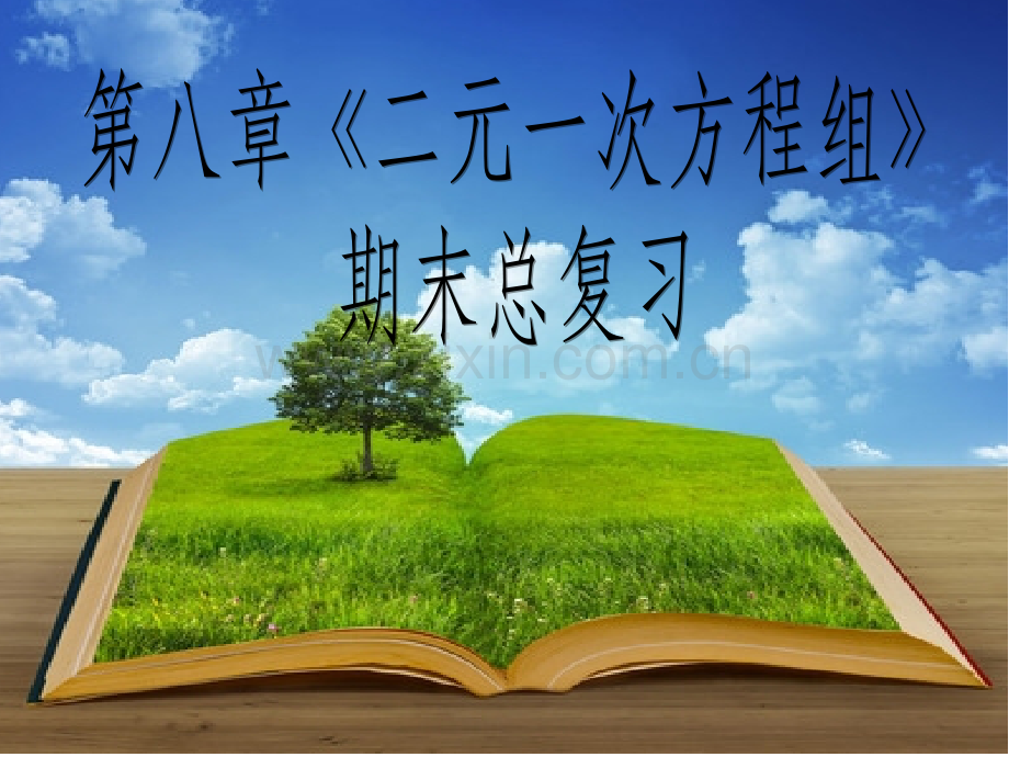 二元一次方程组期末总复习.pptx_第1页