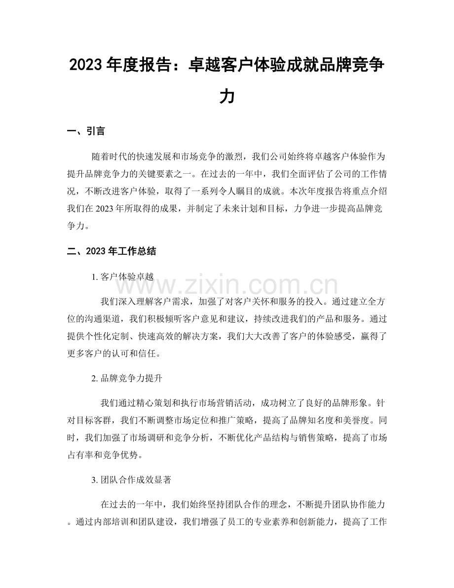 2023年度报告：卓越客户体验成就品牌竞争力.docx_第1页