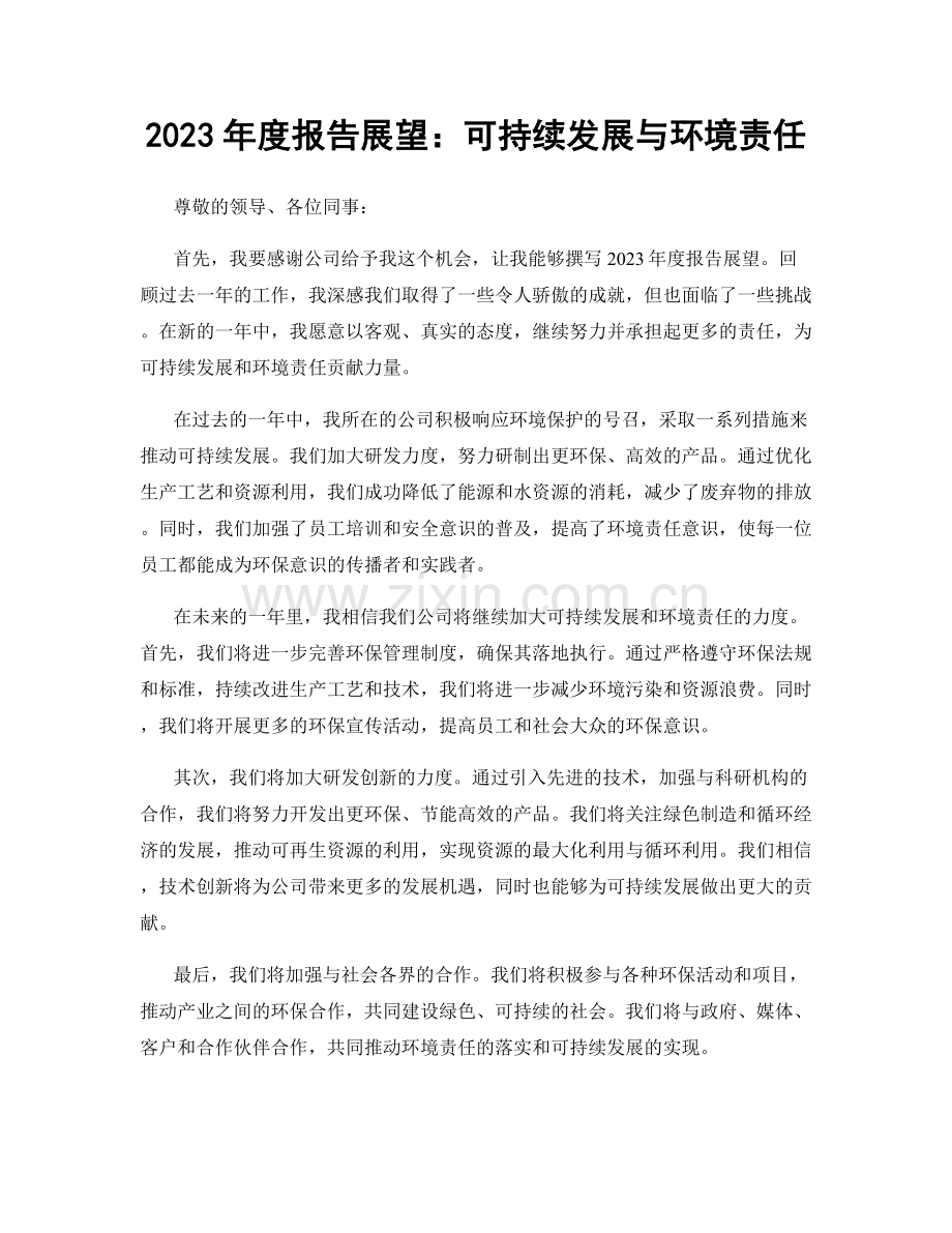2023年度报告展望：可持续发展与环境责任.docx_第1页