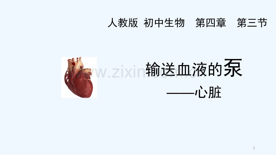 人教版输送血液的泵----心脏.pptx_第2页