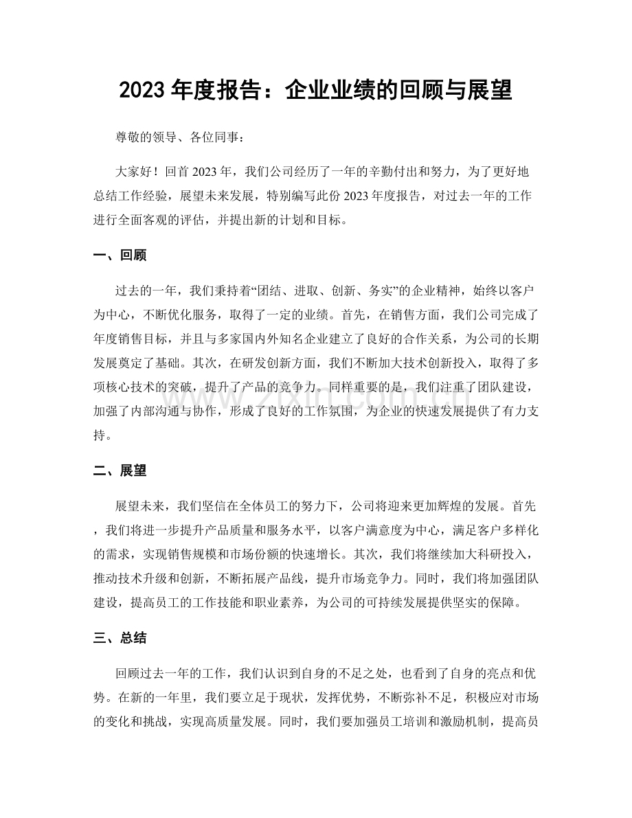 2023年度报告：企业业绩的回顾与展望.docx_第1页