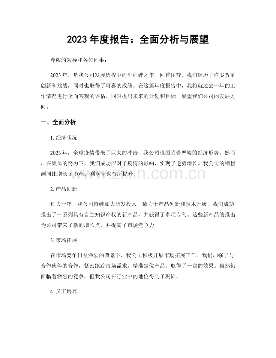 2023年度报告：全面分析与展望.docx_第1页