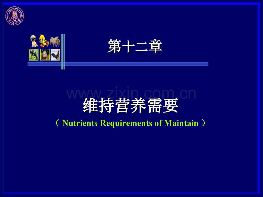 维持营养需要.pptx_第1页