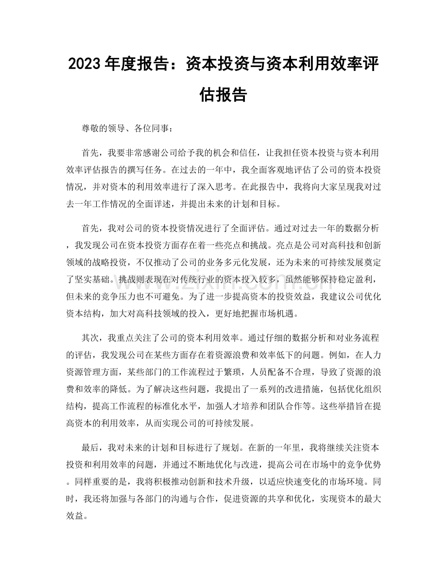 2023年度报告：资本投资与资本利用效率评估报告.docx_第1页