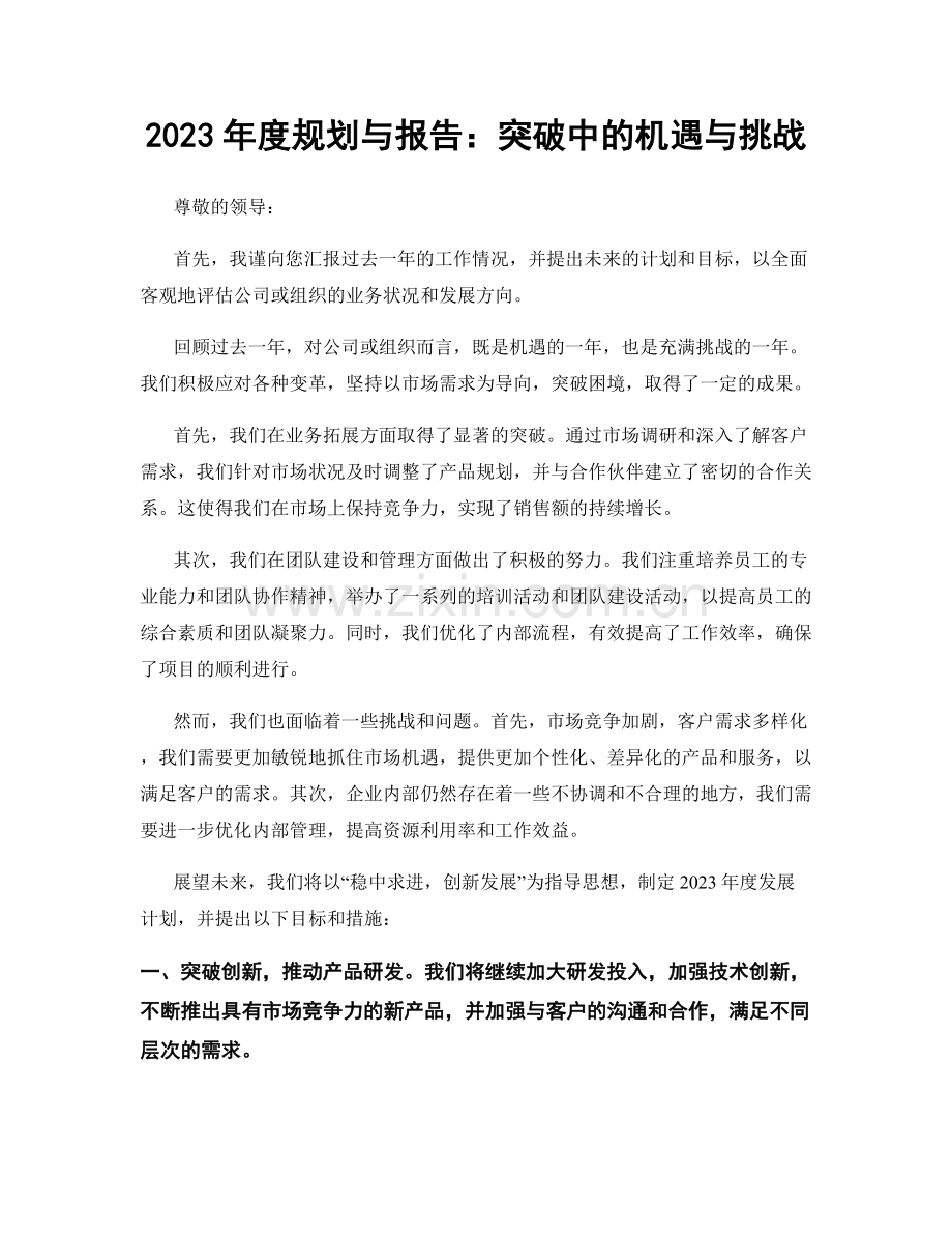 2023年度规划与报告：突破中的机遇与挑战.docx_第1页