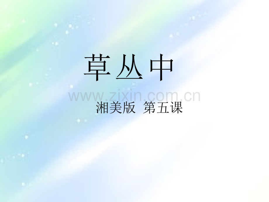 湘美版四年级美术草丛中.ppt_第1页